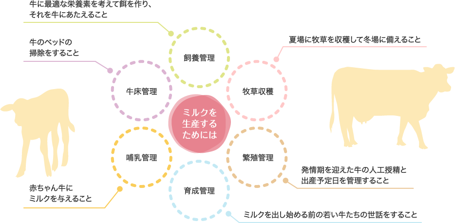 ミルクを生産するためには　飼葉管理：牛に最適な栄養素を考えて餌を作り、それを牛に与えること　牛床管理：牛のベッドの掃除をすること　哺乳管理：赤ちゃん牛にミルクを与えること　育成管理：ミルクを出し始める前の若い牛たちの世話をすること　繁殖管理：発情期を迎えた牛の人工授精と出産予定日を管理すること　牧草収穫：夏場に牧草を収穫して冬場に備えること
